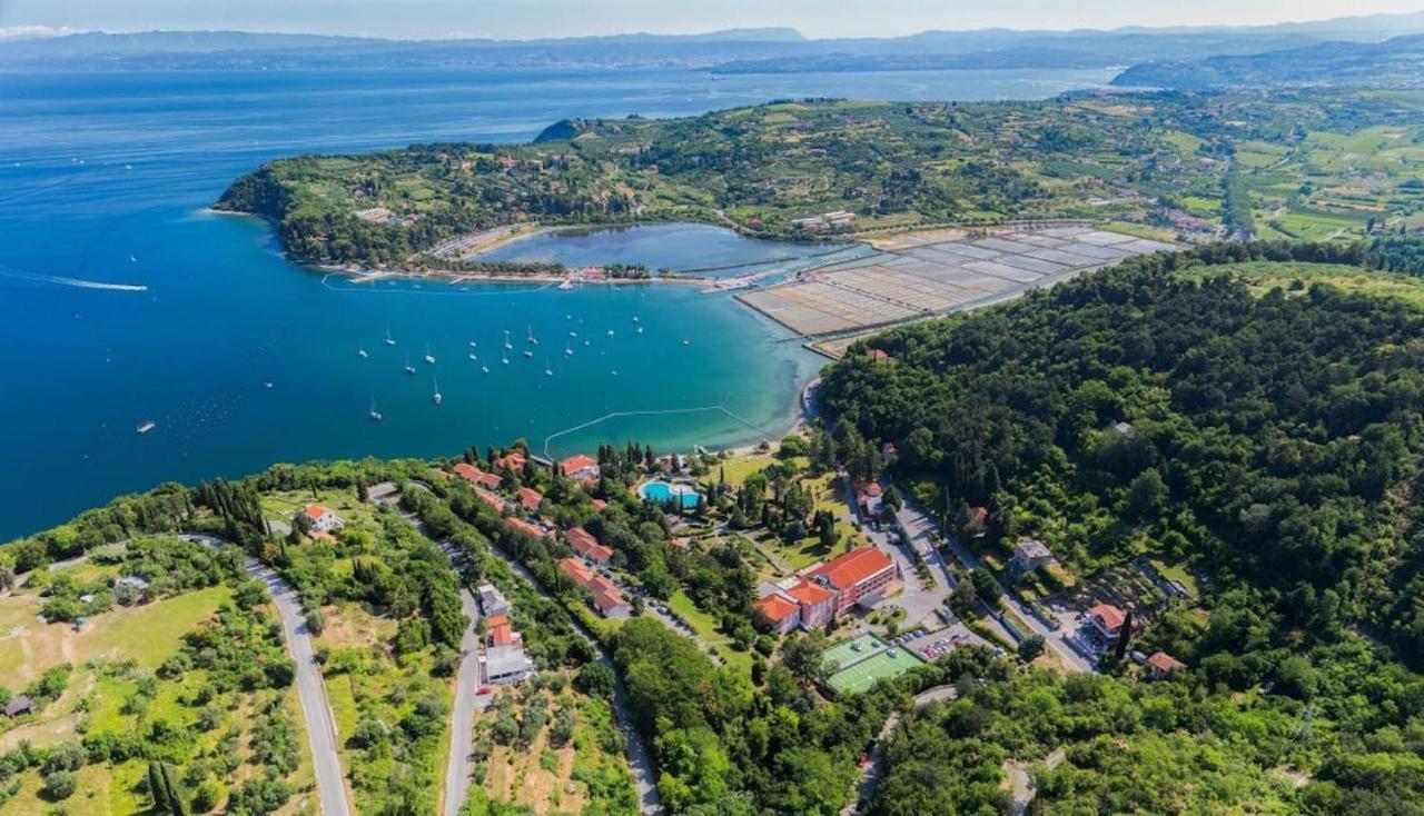 Dino Studio And Room Apartments Portoroz Exterior foto
